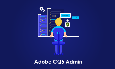 Adobe CQ5 System Administrator Training