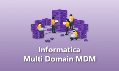 Informatica Multi Domain MDM Training