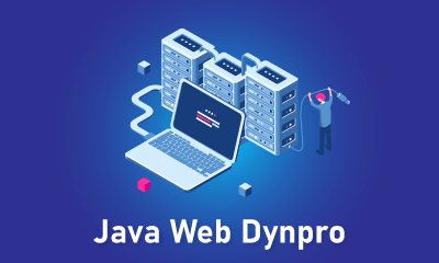 Java Web Dynpro Training