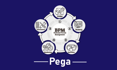 Pega Training