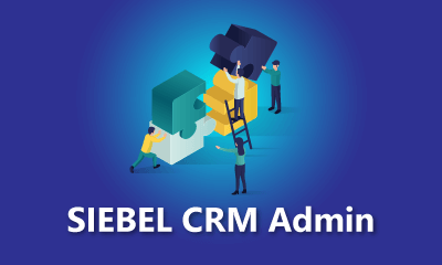 SIEBEL CRM Admin Training