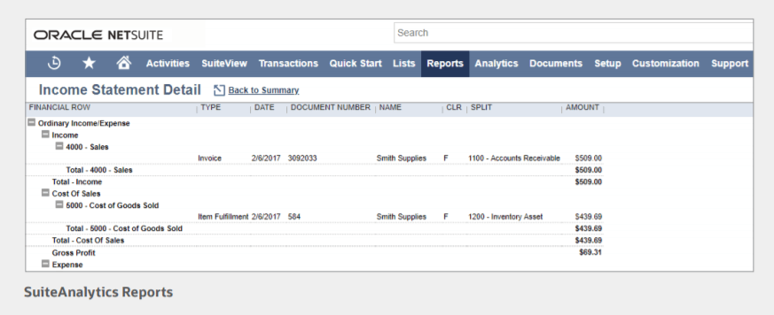 SuiteAnalytics Reports